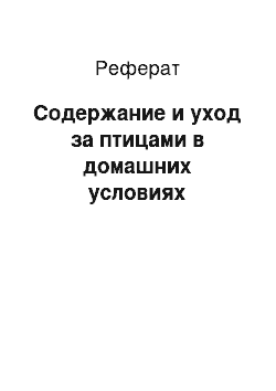 Реферат: Содержание и уход за птицами в домашних условиях