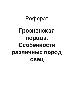 Реферат: Грозненская порода. Особенности различных пород овец