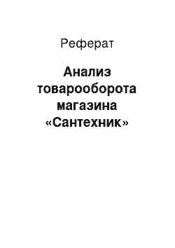 Реферат: Анализ товарооборота магазина «Сантехник»