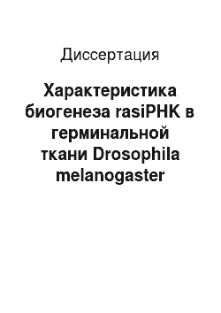 Диссертация: Характеристика биогенеза rasiPHK в герминальной ткани Drosophila melanogaster