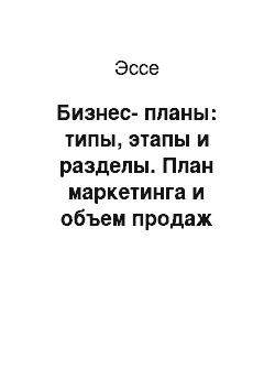 Эссе: Бизнес-планы: типы, этапы и разделы. План маркетинга и объем продаж