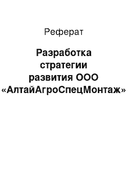 Реферат: Разработка стратегии развития ООО «АлтайАгроСпецМонтаж»