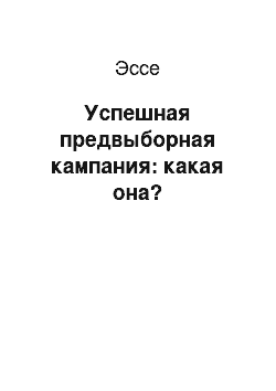 Эссе: Успешная предвыборная кампания: какая она?