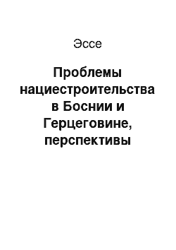 Эссе: Проблемы нациестроительства в Боснии и Герцеговине, перспективы отсоединения Республики Сербской