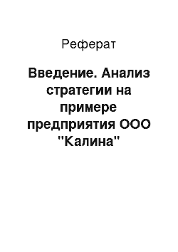 Реферат: Введение. Анализ стратегии на примере предприятия ООО "Калина"