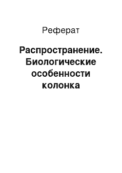 Реферат: Распространение. Биологические особенности колонка