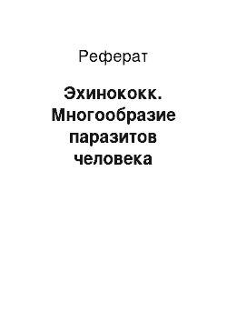 Реферат: Эхинококк. Многообразие паразитов человека