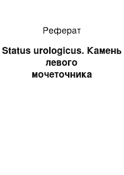 Реферат: Status urologicus. Камень левого мочеточника