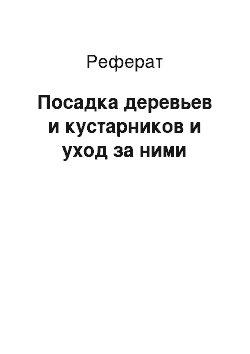 Реферат: Посадка деревьев и кустарников и уход за ними