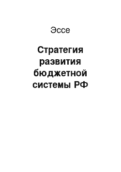 Эссе: Стратегия развития бюджетной системы РФ