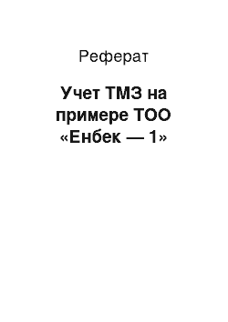 Реферат: Учет ТМЗ на примере ТОО «Енбек — 1»