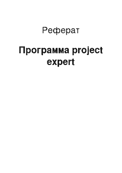 Реферат: Программа project expert