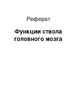 Реферат: Функции ствола головного мозга