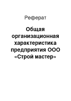 Реферат: Общая организационная характеристика предприятия ООО «Строй мастер»