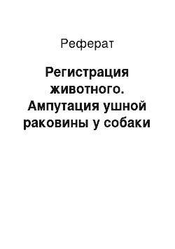 Реферат: Регистрация животного. Ампутация ушной раковины у собаки