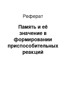 Реферат: Память и её значение в формировании приспособительных реакций