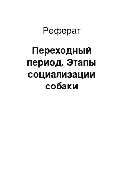 Реферат: Переходный период. Этапы социализации собаки