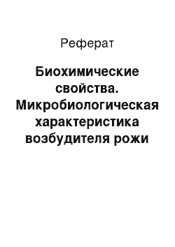 Реферат: Биохимические свойства. Микробиологическая характеристика возбудителя рожи свиней