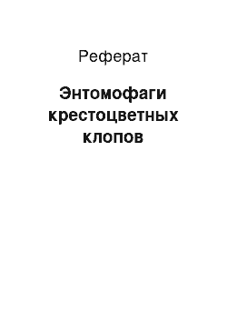 Реферат: Энтомофаги крестоцветных клопов