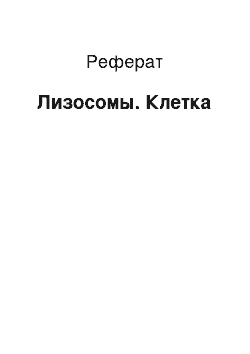 Реферат: Лизосомы. Клетка