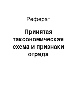 Реферат: Принятая таксономическая схема и признаки отряда