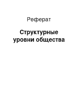 Реферат: Структурные уровни общества