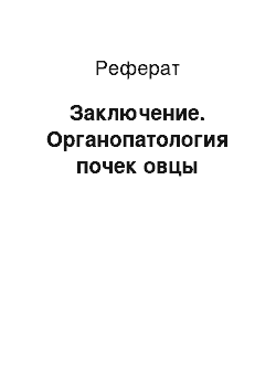 Реферат: Заключение. Органопатология почек овцы