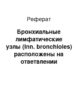 Реферат: Бронхиальные лимфатические узлы (Inn. bronchioles) расположены на ответвлении бронхов и бифуркации трахеи