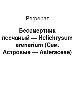 Реферат: Бессмертник песчаный — Helichrysum arenarium (Сем. Астровые — Asteraceae)