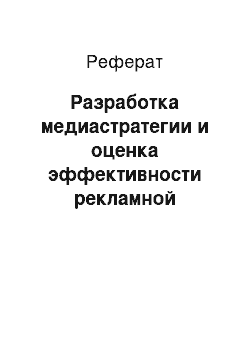 Реферат: Разработка медиастратегии и оценка эффективности рекламной компании