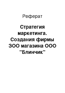 Реферат: Стратегия маркетинга. Создания фирмы ЗОО магазина ООО "Блинчик"