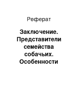 Реферат: Заключение. Представители семейства собачьих. Особенности биологии и распространение