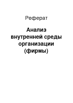 Реферат: Анализ внутренней среды организации (фирмы)