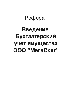 Реферат: Введение. Бухгалтерский учет имущества ООО "МегаСкат"