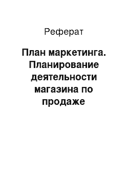 Реферат: План маркетинга. Планирование деятельности магазина по продаже бижутерии "Изумруд"