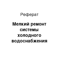 Реферат: Мелкий ремонт системы холодного водоснабжения