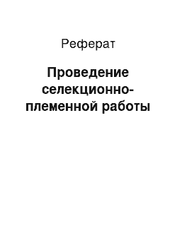 Реферат: Проведение селекционно-племенной работы