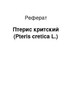 Реферат: Птерис критский (Pteris cretica L.)