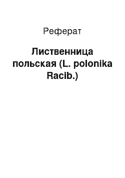 Реферат: Лиственница польская (L. polonika Racib.)