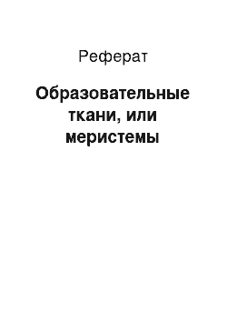 Реферат: Образовательные ткани, или меристемы