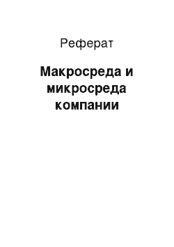 Реферат: Макросреда и микросреда компании