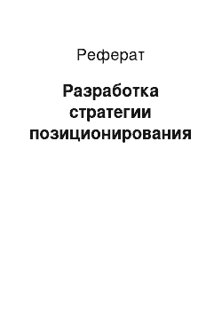 Реферат: Разработка стратегии позиционирования